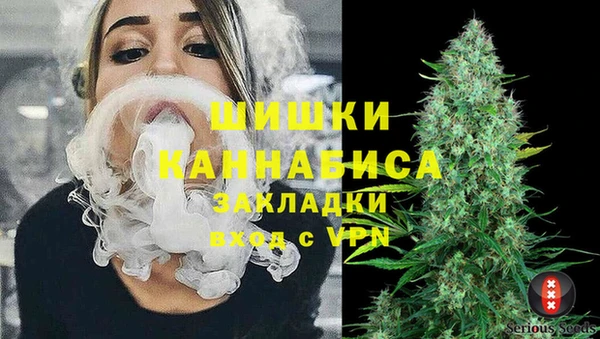 гидра Алзамай